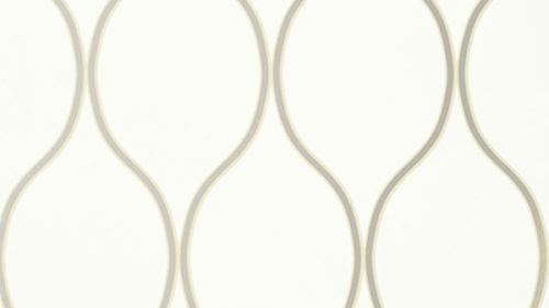 CAMBER T11041